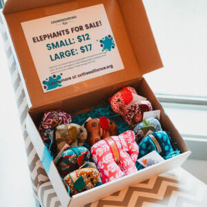 Crowdsourcing Kids Fundraising Kit